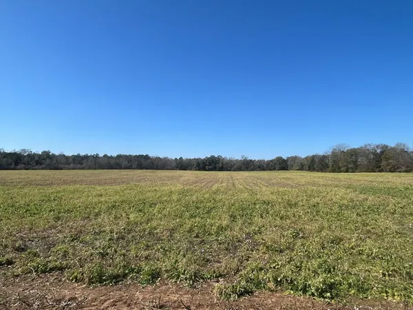 $249,500 | 31.5-ac 31.5-ac Rammer Loop Road, Dothan, AL 36301