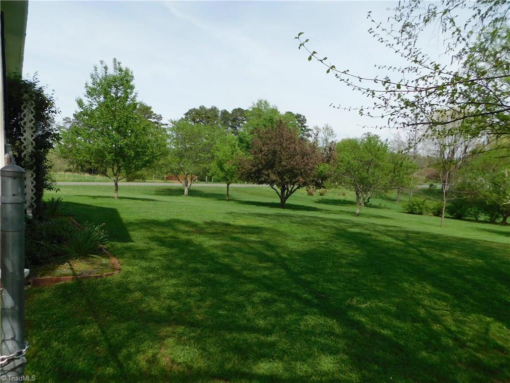175 Whitaker Chapel Road Pilot Mountain, NC 27041 - Photo 22 of 28 Gallery Image 22