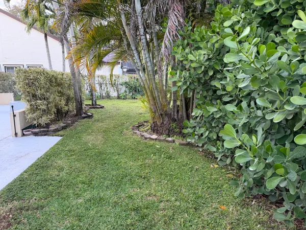 a view of backyard with a car parked