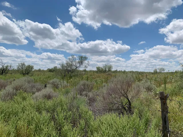 a view of a city and mountains