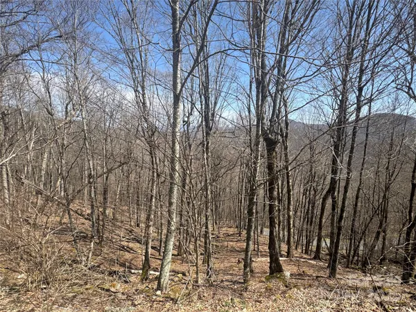 $42,900 | 14-16 Overlook Drive, Mars Hill, NC 28754