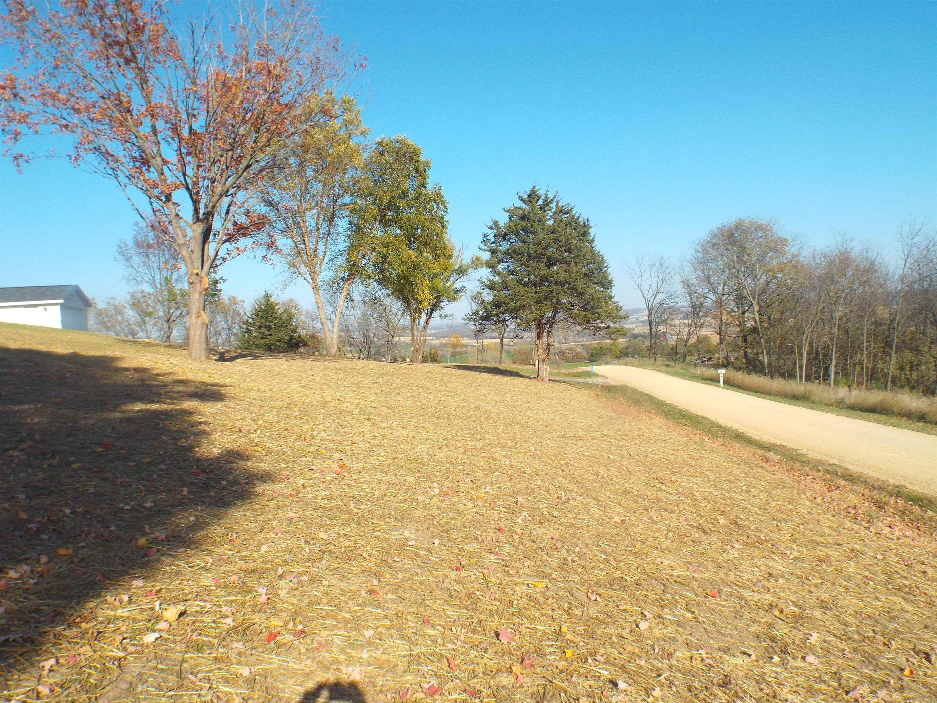 6090 South Rodden Road Hanover, IL 61041 - Photo 28 of 34 a view of yard with large trees