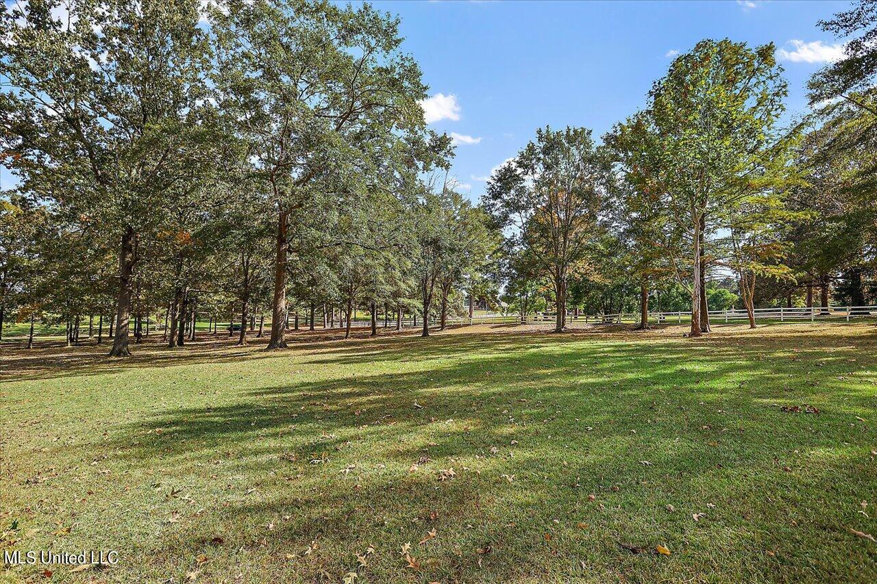 577 North Old Canton Road Madison, MS 39110 - Photo 7 of 53 07-577 N Old Canton Rd