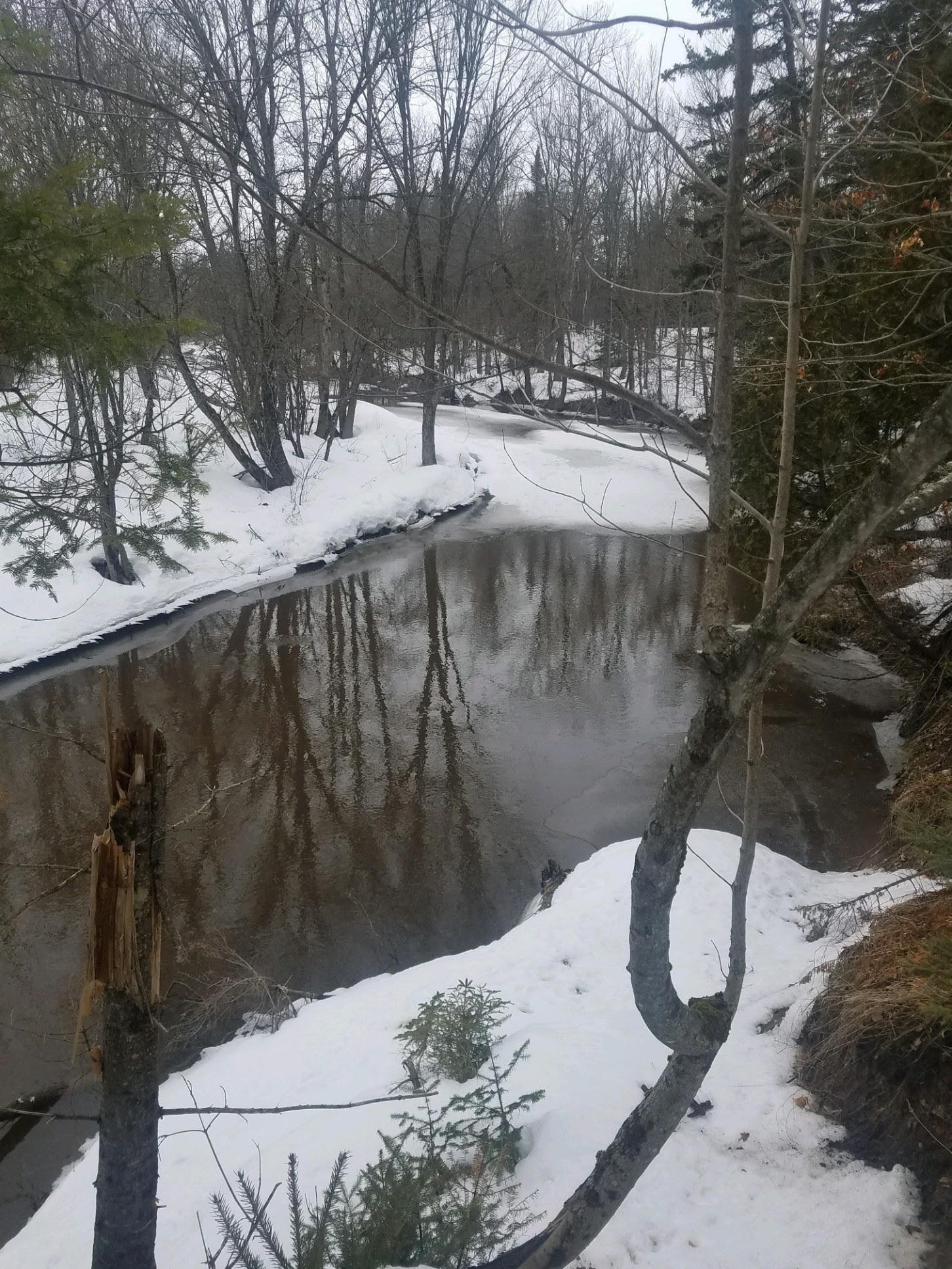 32-acres South Ridge Road Sault Ste. Marie, MI 49783 - Photo 13 of 20 Gallery Image 13