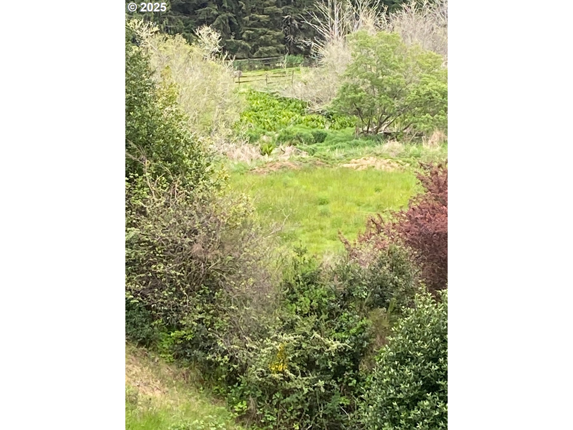 67482 East Bay Road North Bend, OR 97459 - Photo 6 of 9