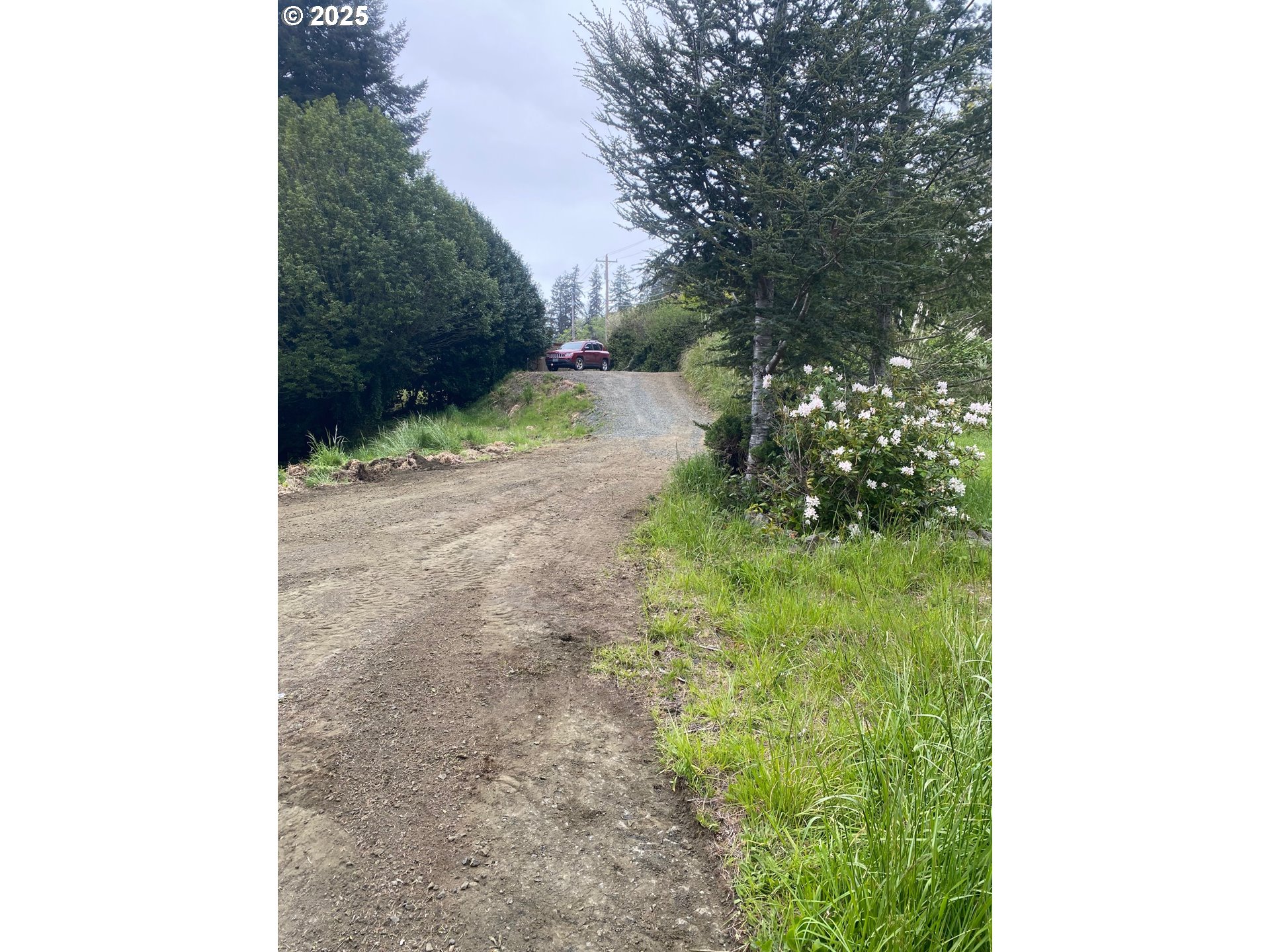 67482 East Bay Road North Bend, OR 97459 - Photo 9 of 9 a close up of a plant in a garden