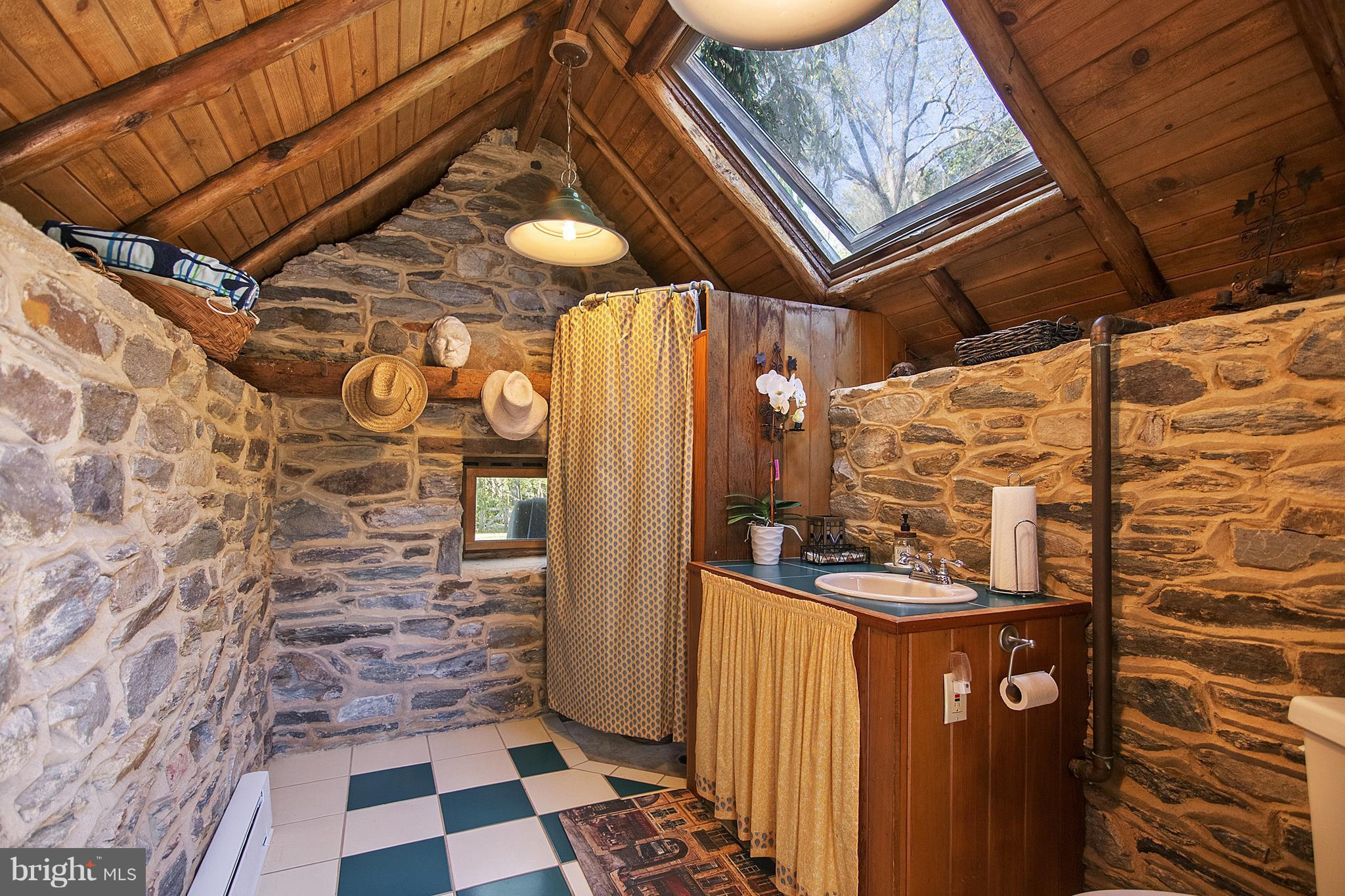 20160 Brownsville Road Rohrersville, MD 21779 - Photo 8 of 30 interior of pool house