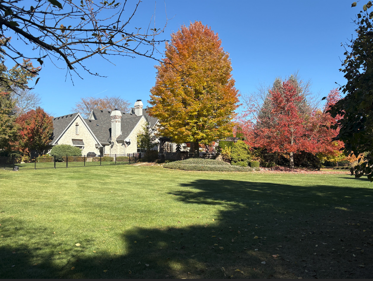 34-w033 White Thorne Road St. Charles, IL 60174 - Photo 96 of 100