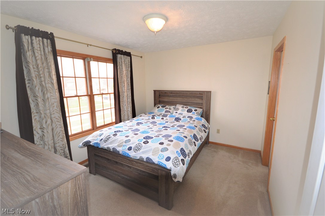 4112 Logans Way Perry, OH 44081 - Photo 24 of 29 Well lit, neutral, with walk - in closet...this bedroom makes 4