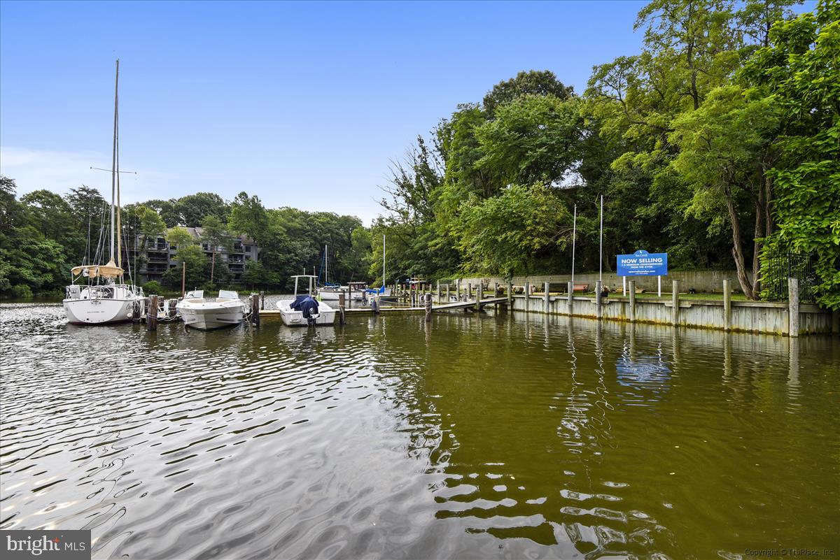 1138 Cove Road, Unit 201 Annapolis, MD 21403 - Photo 37 of 46 Truxton Park Dock