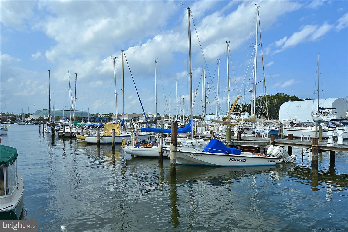 1138 Cove Road, Unit 201 Annapolis, MD 21403 - Photo 42 of 46 Annapolis