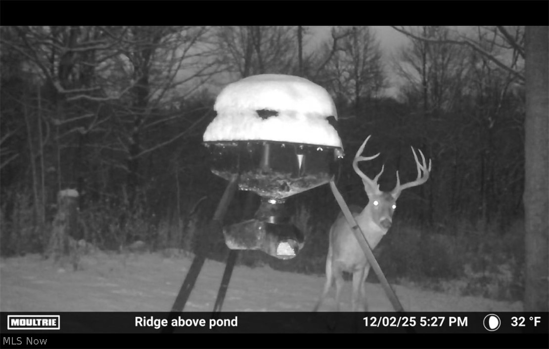 27339 Tabor Ridge Road Caldwell, OH 43724 - Photo 16 of 50