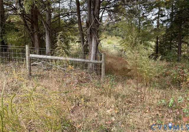 a view of a forest filled with trees
