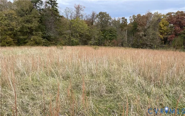 a view of backyard with green space