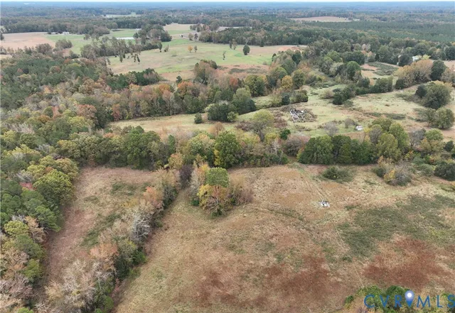 an aerial view of forest