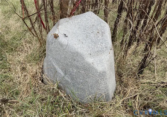 a view of a dry yard with wooden fence and large trees