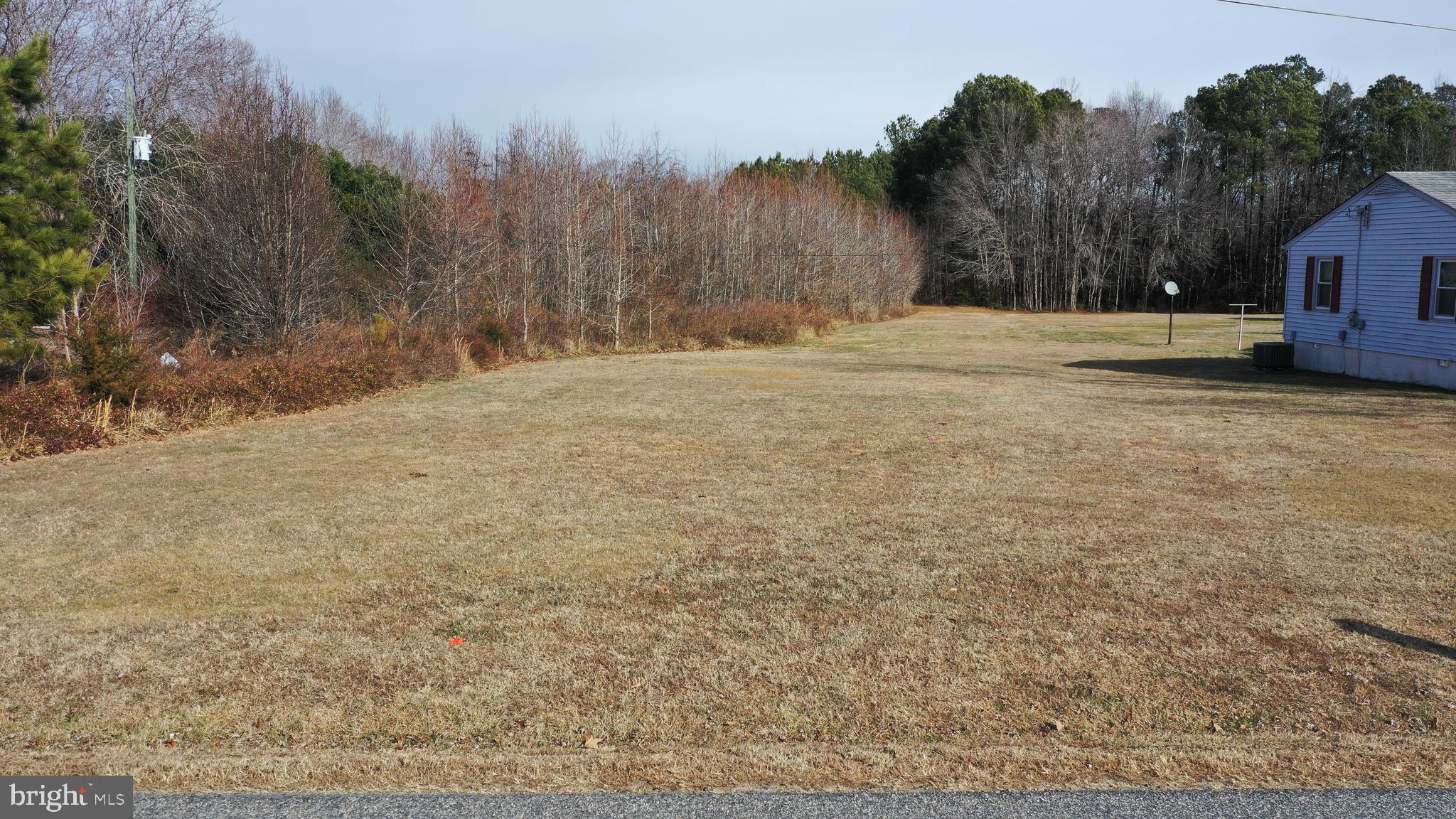 Quarters Road Woodford, VA 22580 - Photo 11 of 14 a view of road with large trees