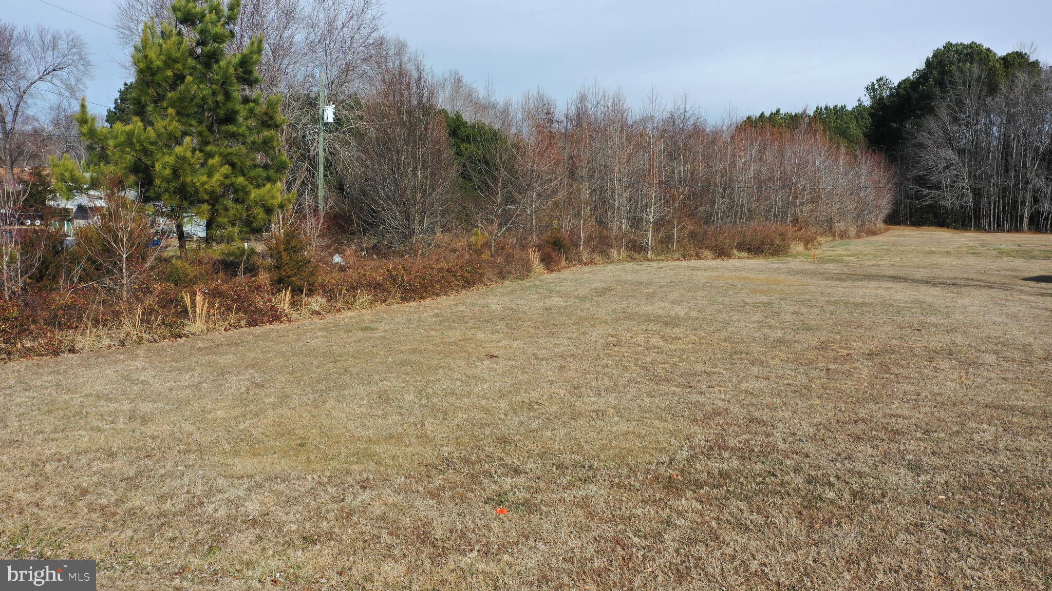 Quarters Road Woodford, VA 22580 - Photo 12 of 14 a view of large yard with trees