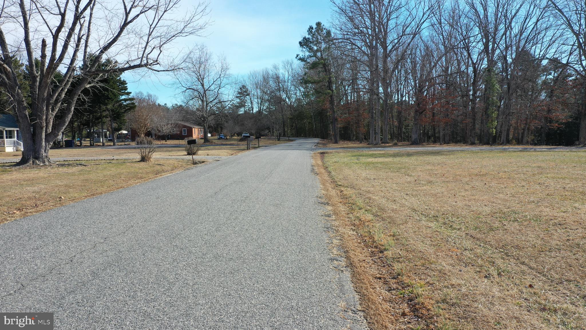 Quarters Road Woodford, VA 22580 - Photo 14 of 14 a view of a yard with trees