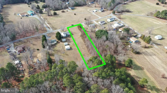 a view of large yard with trees