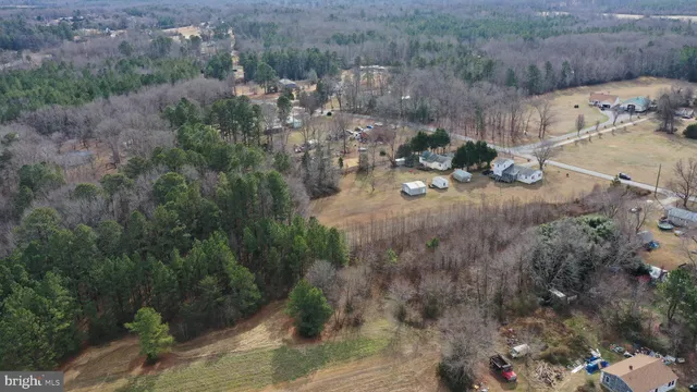 a view of a yard with trees