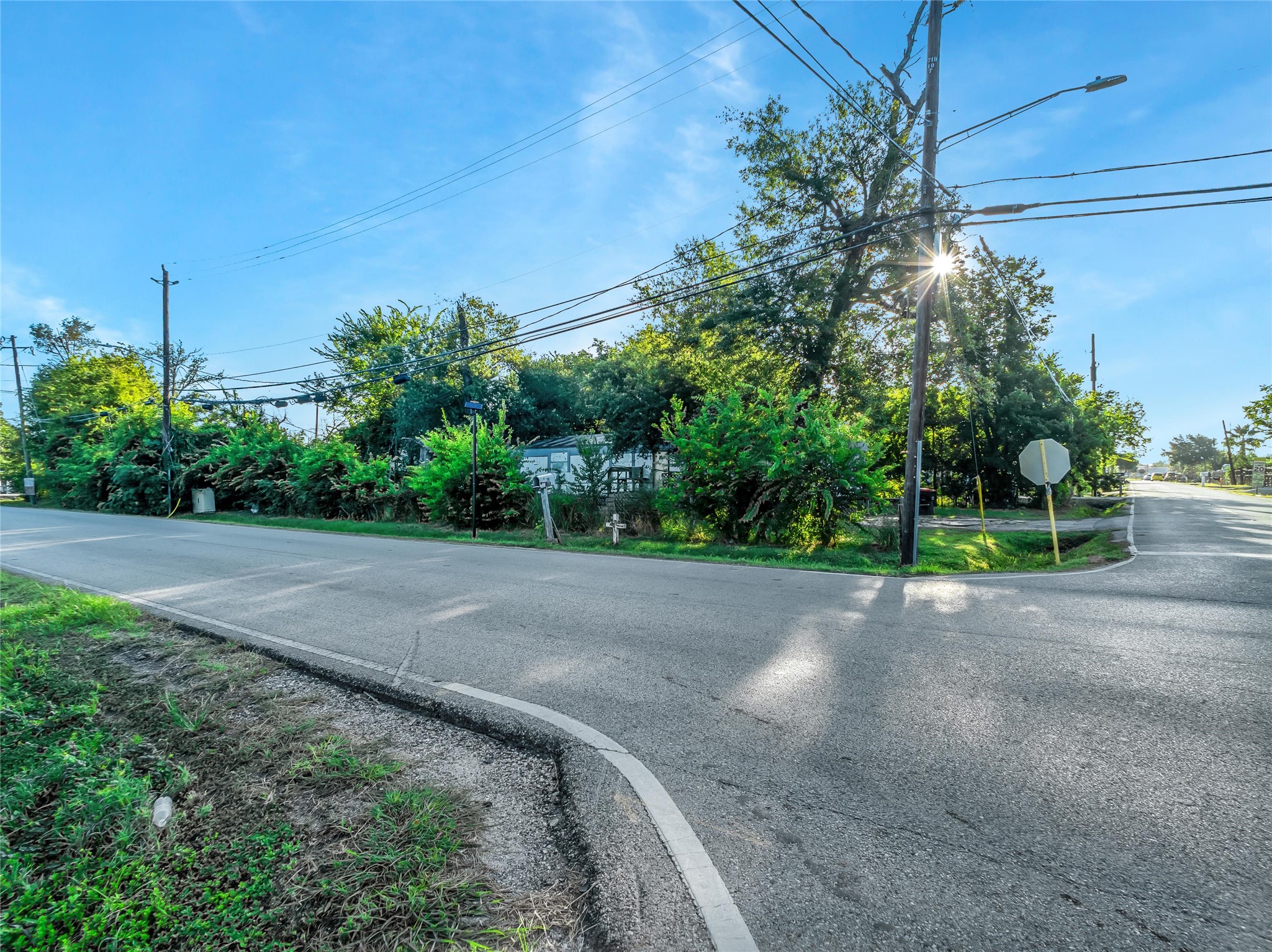 719 Manor Street Houston, TX 77015 - Photo 6 of 24 a view of a street with a house