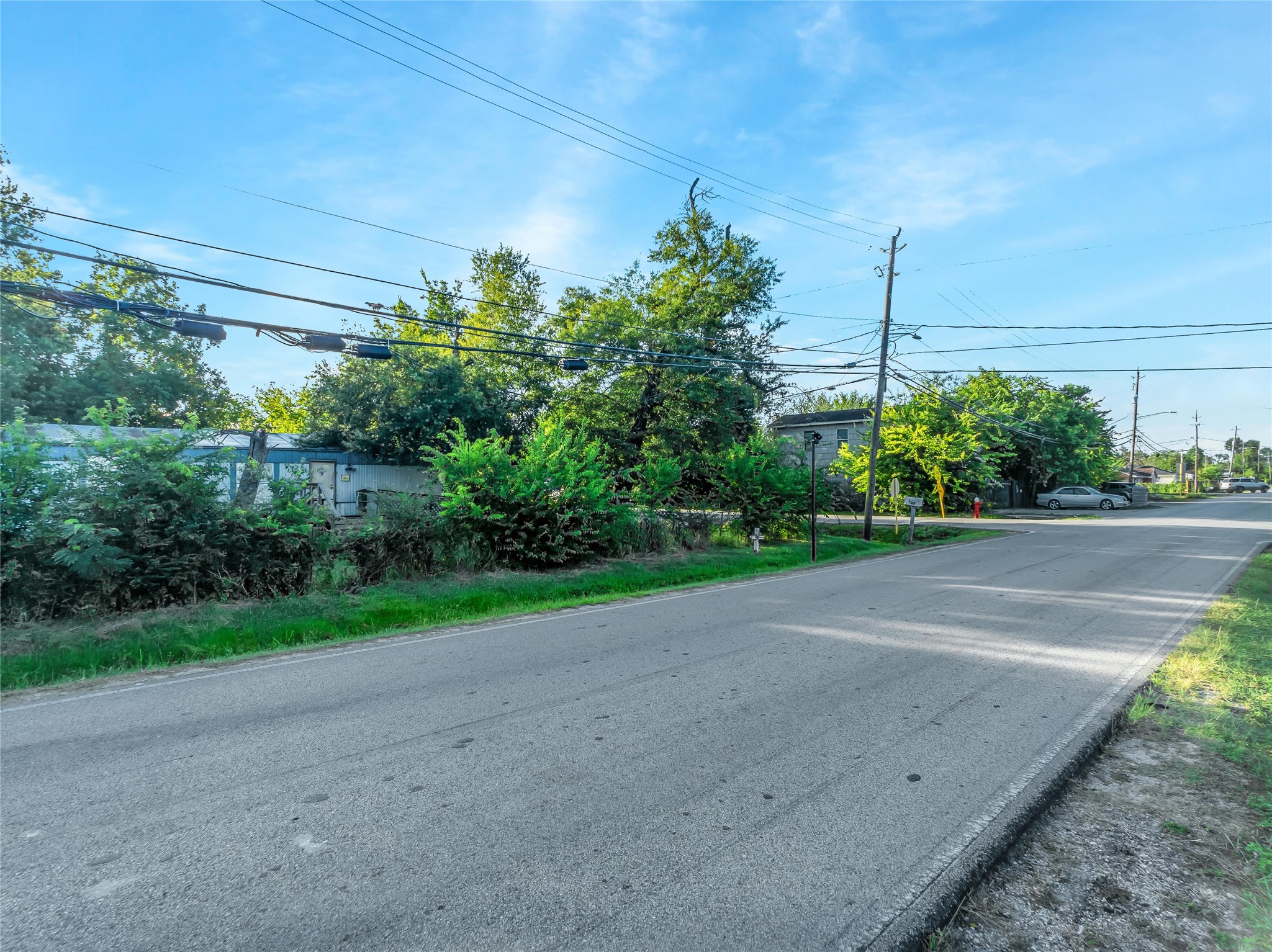 719 Manor Street Houston, TX 77015 - Photo 7 of 24 a view of a yard with potted plants