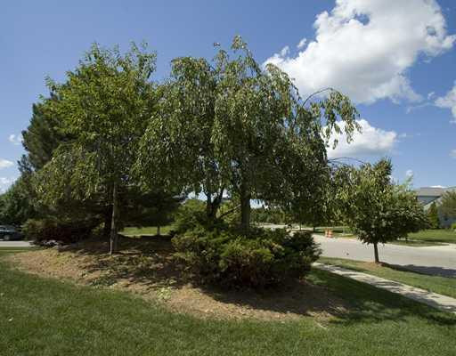 1872 Snowberry Ridge Road Ann Arbor, MI 48103 - Photo 25 of 25 Photo 25
