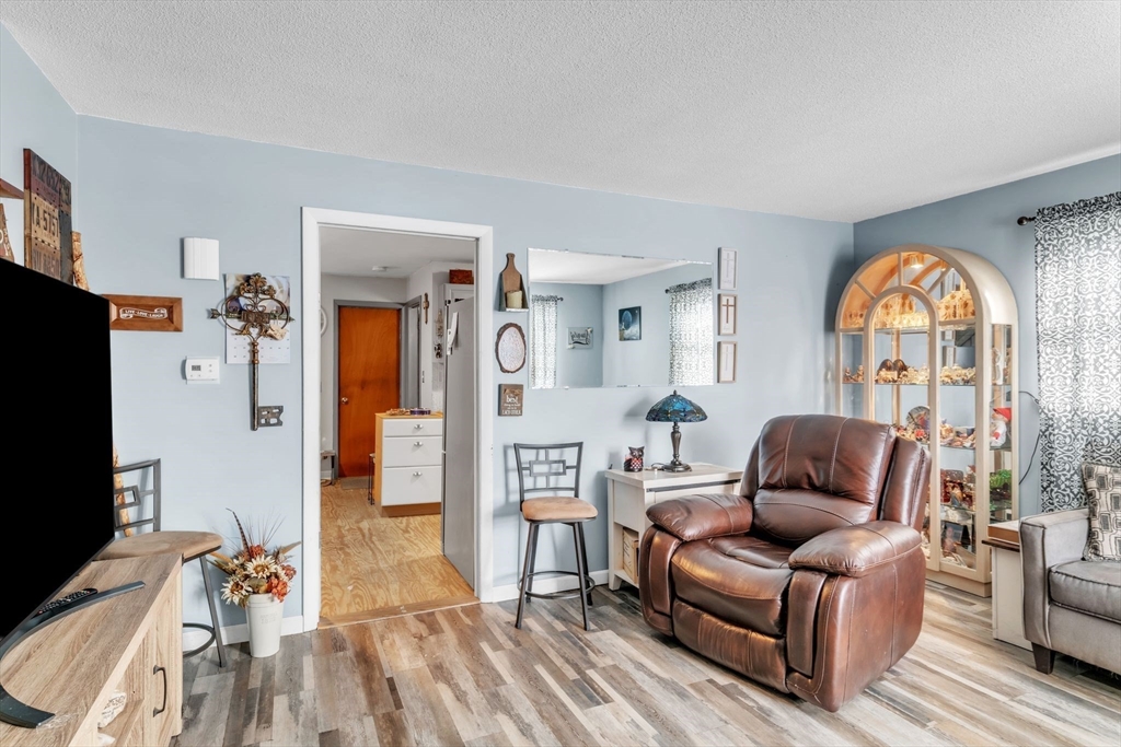 89 Pine Grove Street Springfield, MA 01119 - Photo 6 of 26 a living room with furniture and a flat screen tv