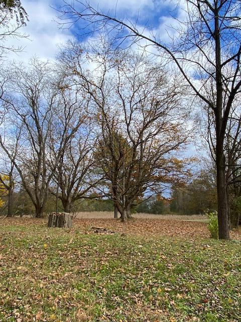 1639 Tennga Gregory Road Crandall, GA 30711 - Photo 49 of 53 IMG_0356