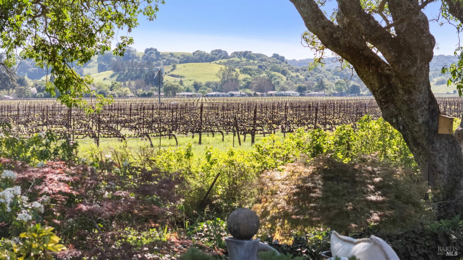 1460 Felder Road Sonoma, CA 95476 - Photo 2 of 60