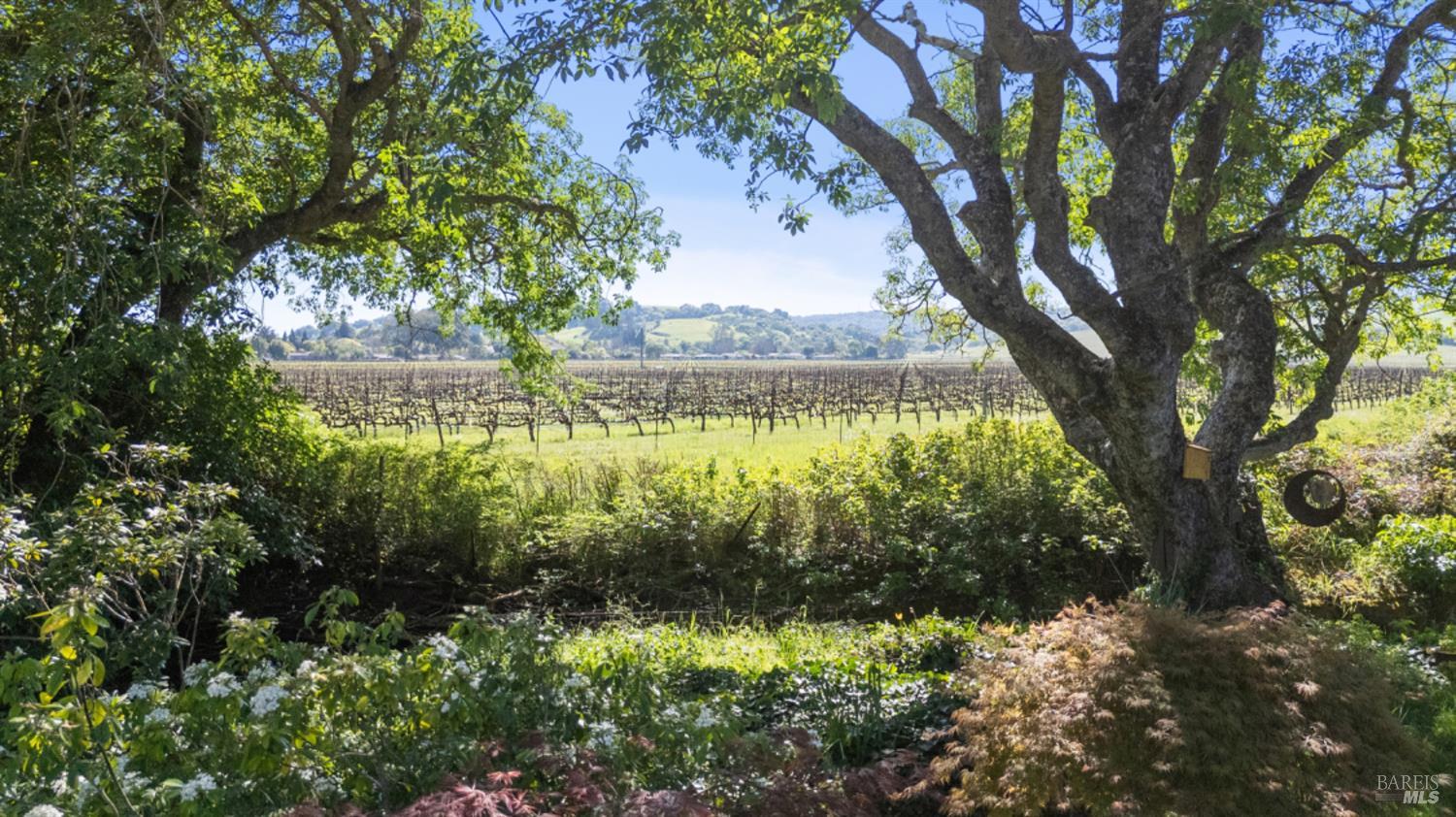 1460 Felder Road Sonoma, CA 95476 - Photo 54 of 60