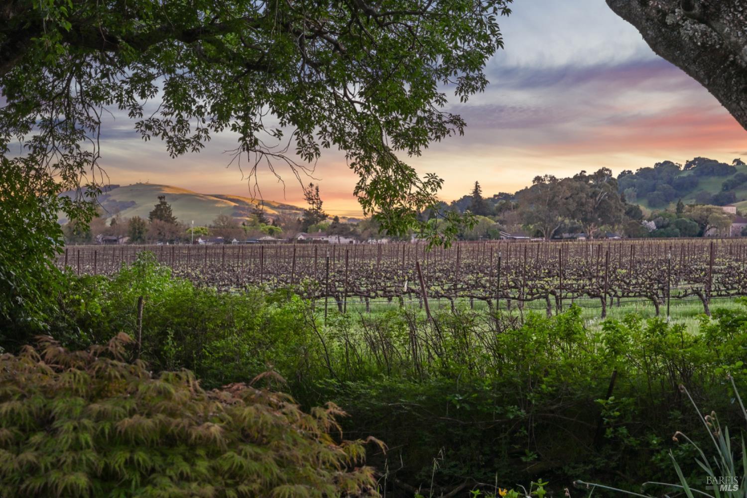 1460 Felder Road Sonoma, CA 95476 - Photo 9 of 60