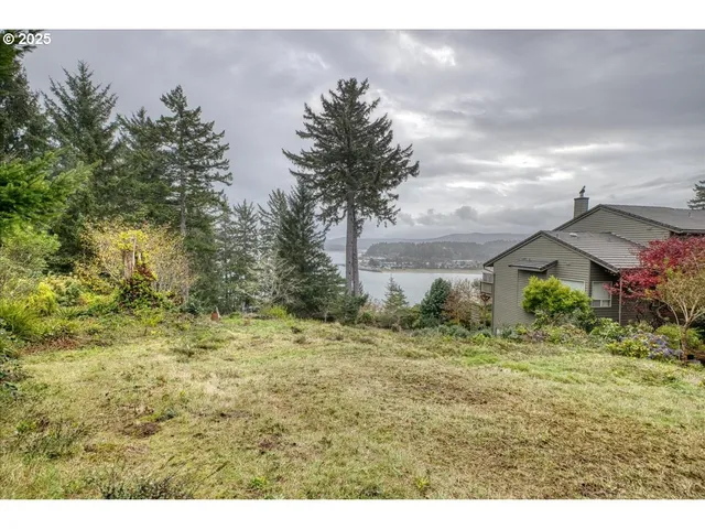 a view of a yard with an tree