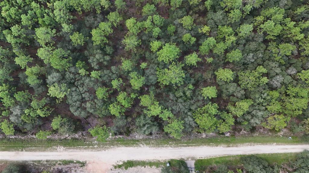 125th Terrace Road Dunnellon, FL 34432 - Photo 11 of 16 Gallery Image 11