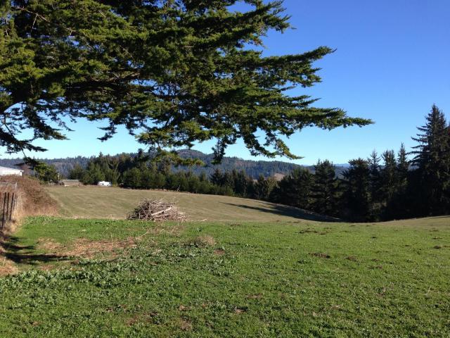 361 Table Bluff Road Loleta, CA 95551 - Photo 18 of 51 20140109162427209641000000-o
