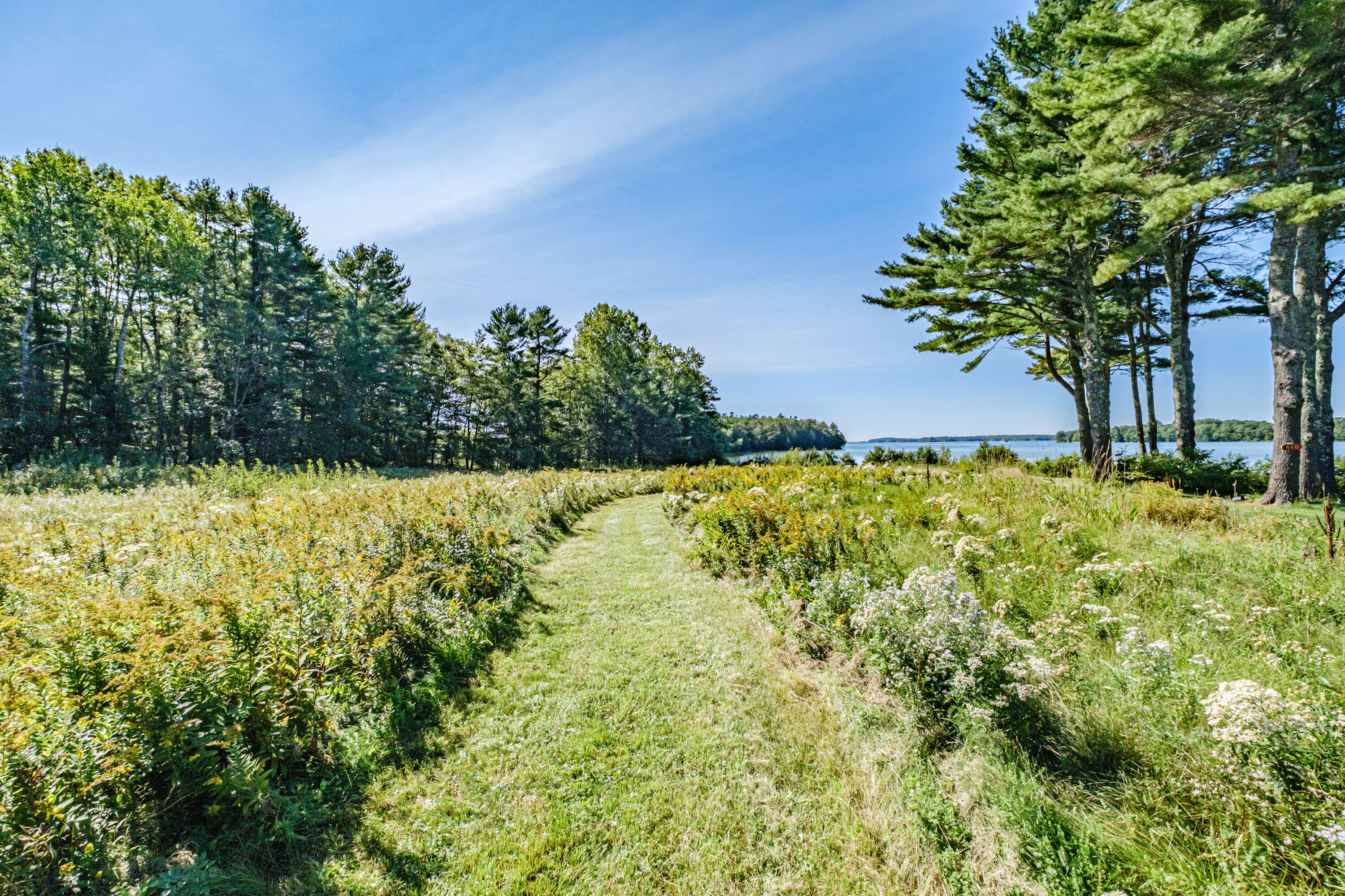 644 Harpswell Road Brunswick, ME 04011 - Photo 68 of 90 20210920mvht-52116