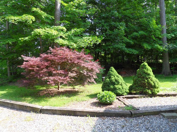 206 County Road Woodstock, CT 06281 - Photo 24 of 24 a view of a garden with a pathway