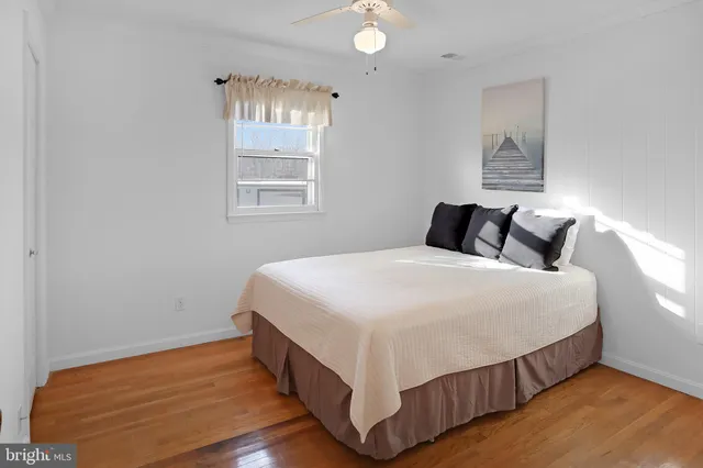 a room with furniture and a potted plant