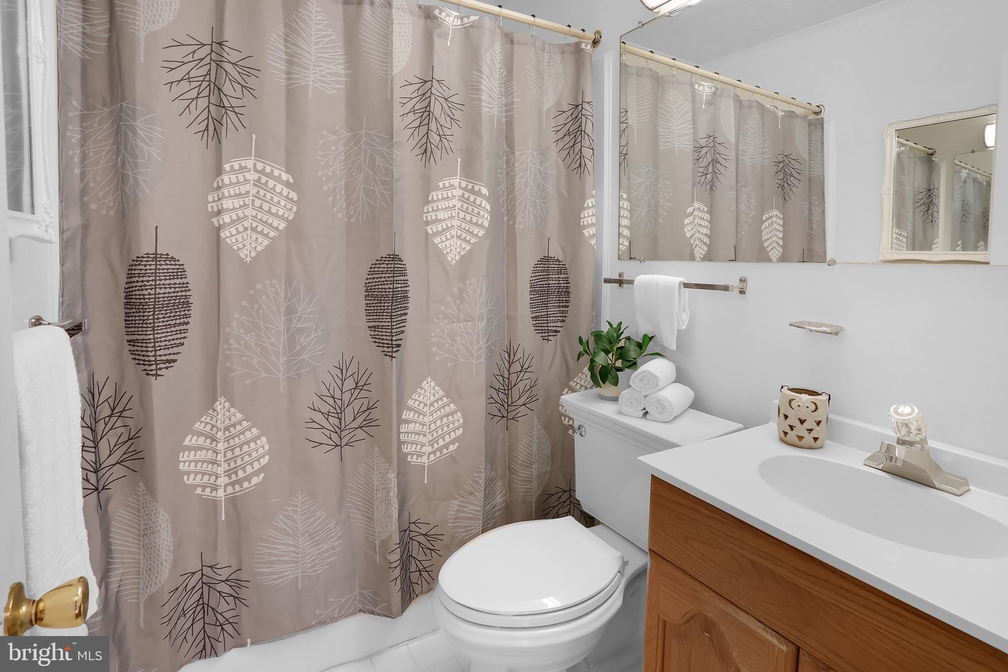 56 Ridgewood Lane Front Royal, VA 22630 - Photo 19 of 49 full main bath