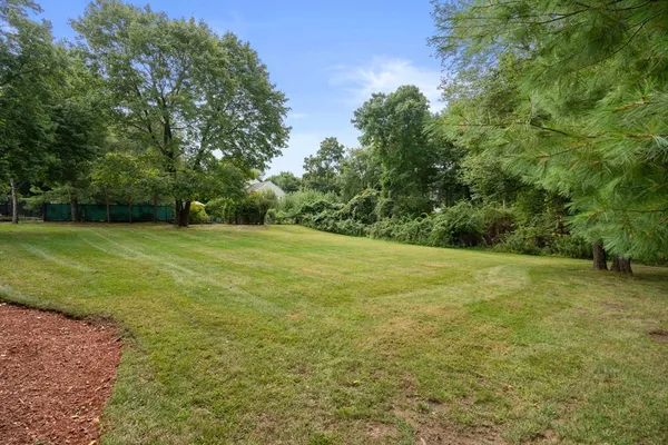 a view of a field with trees in the background