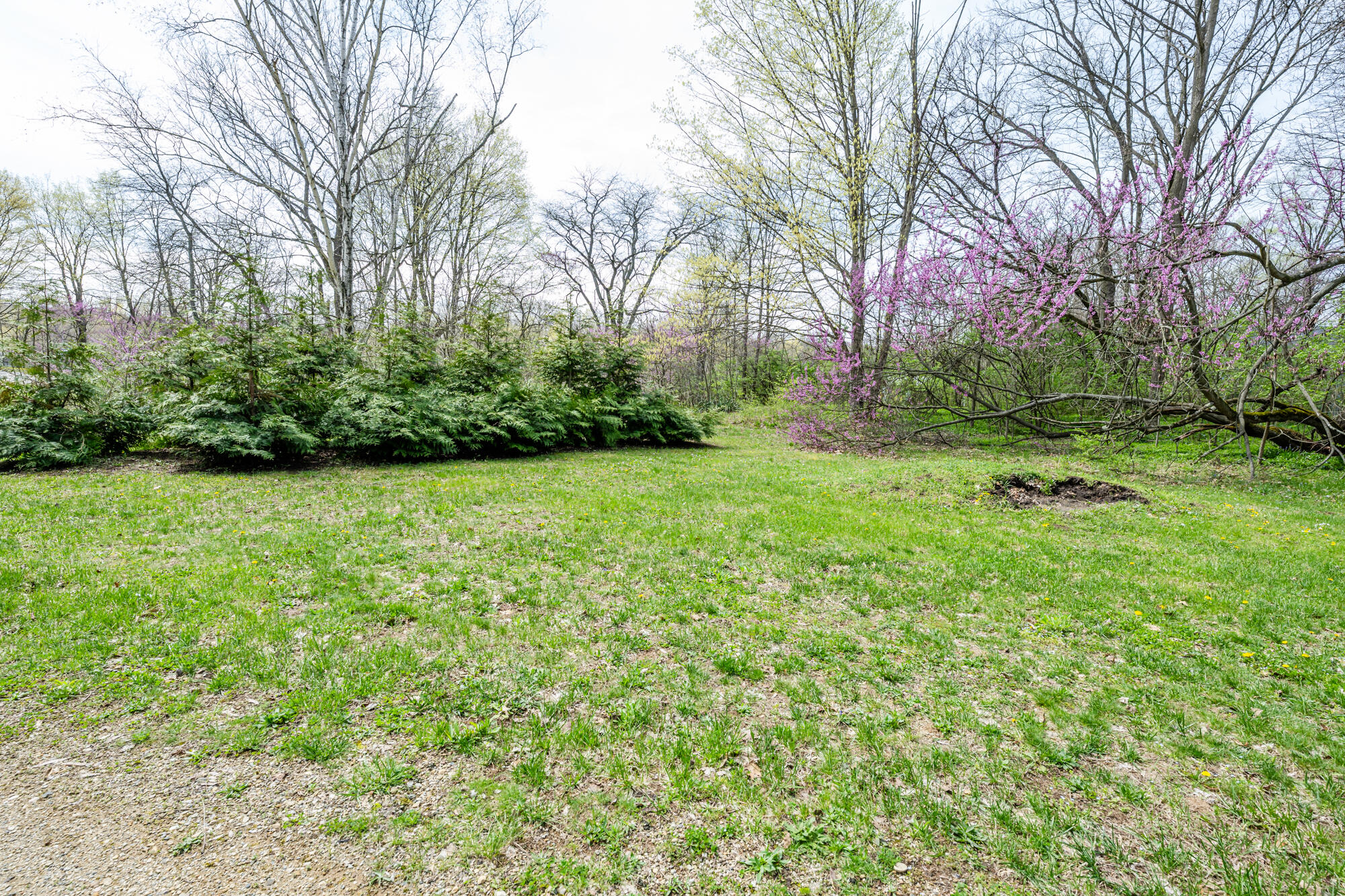 15664 Old Walton Road Buchanan, MI 49107 - Photo 36 of 36 old walton-110
