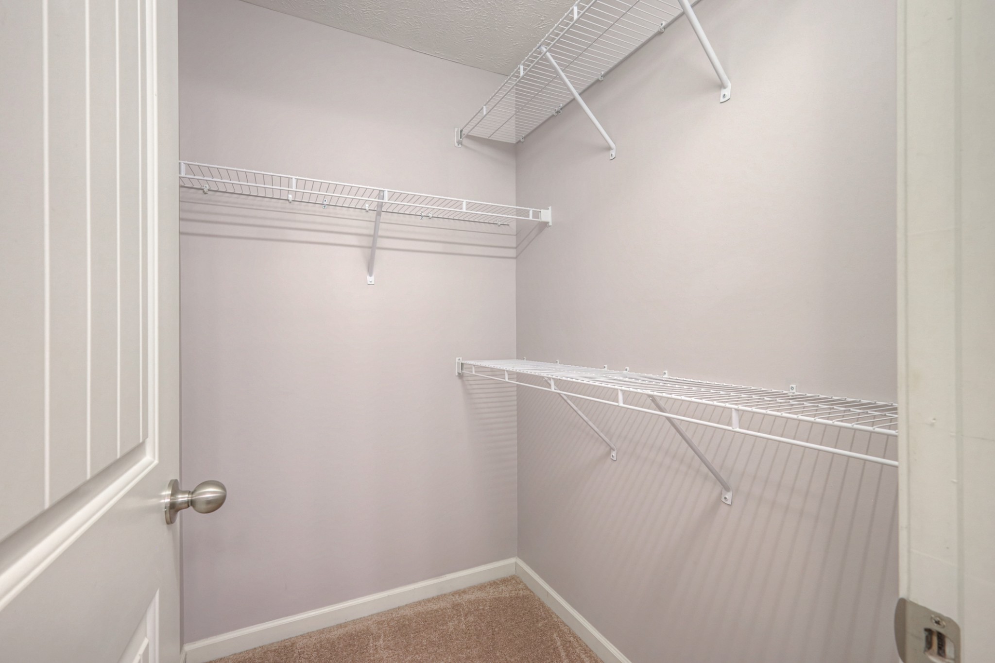 4245 Sunday Silence Way Murfreesboro, TN 37128 - Photo 19 of 39 a view of a room with racks on the wall