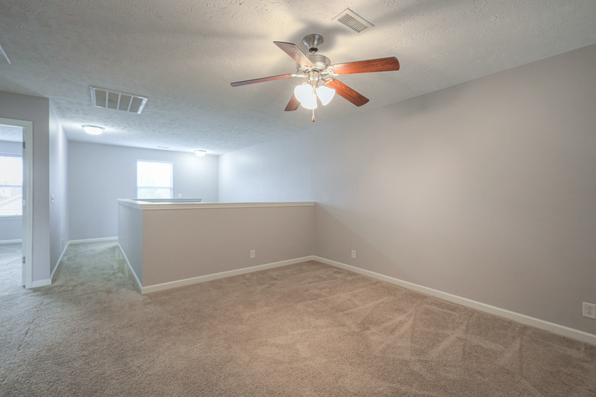 4245 Sunday Silence Way Murfreesboro, TN 37128 - Photo 26 of 39 an empty room with fan and windows