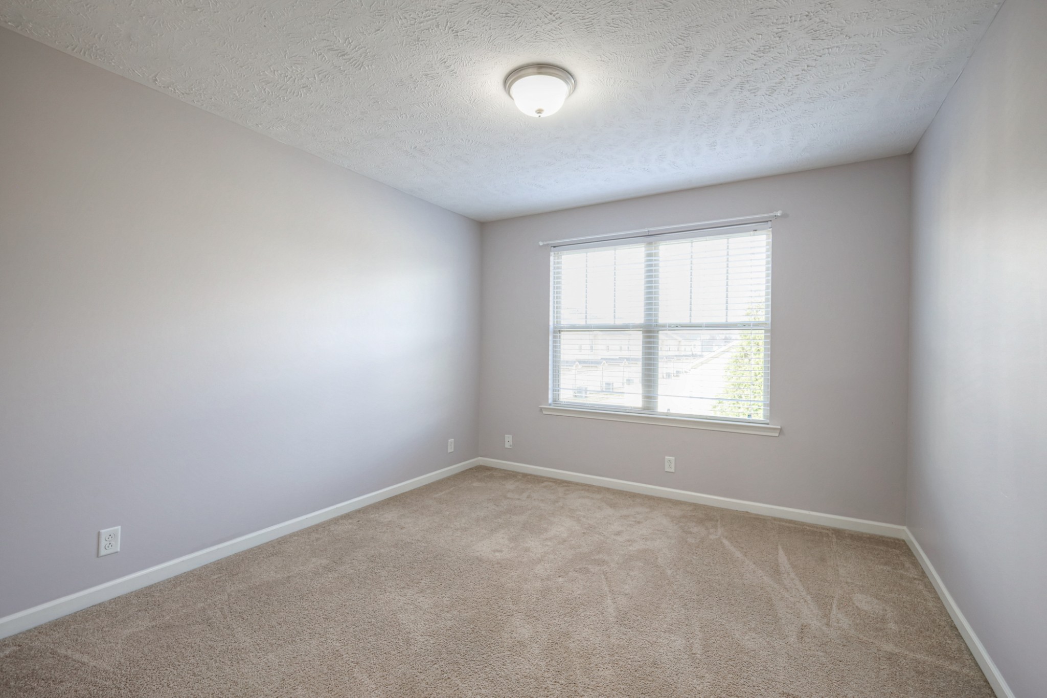 4245 Sunday Silence Way Murfreesboro, TN 37128 - Photo 27 of 39 an empty room with a window