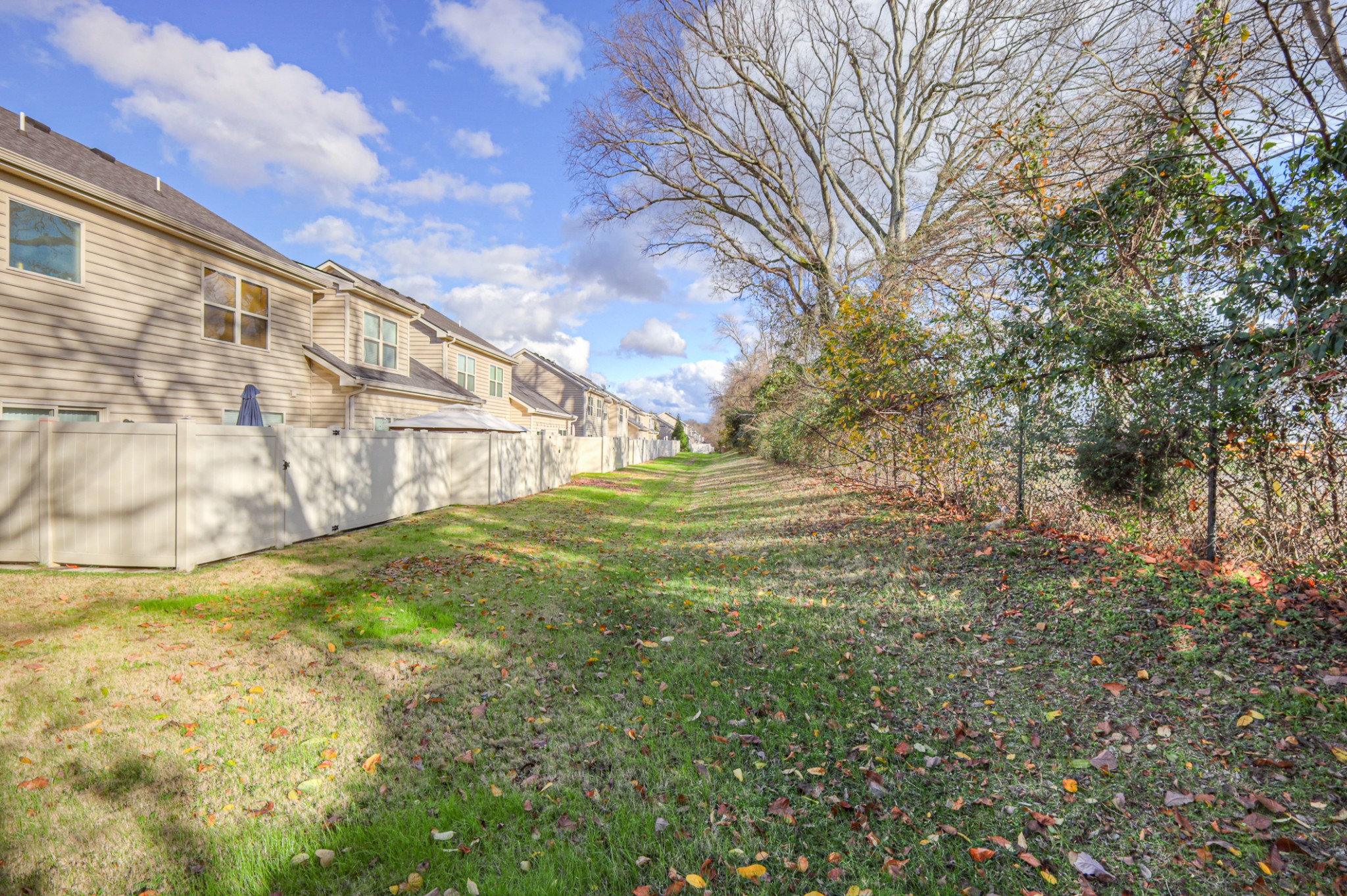 4245 Sunday Silence Way Murfreesboro, TN 37128 - Photo 39 of 39 a view of outdoor space and yard