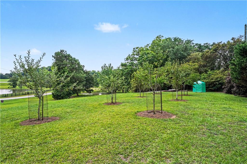 355 Inman Road Hampton, GA 30228 - Photo 41 of 47 a backyard of a house with lots of green space