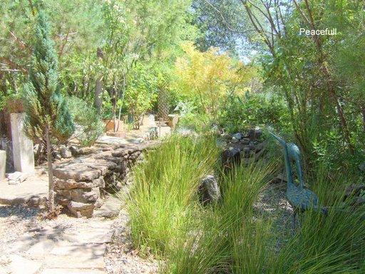 8652 Simmons Road, Unit 3 5 ACRES Redding, CA 96001 - Photo 5 of 10 Private glade