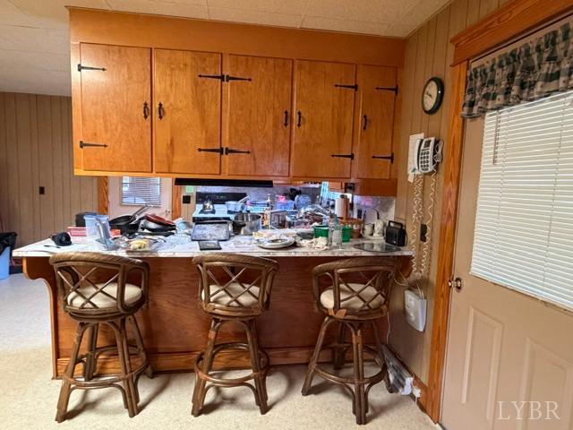 439 Midgett Farm Road Concord, VA 24538 - Photo 5 of 26