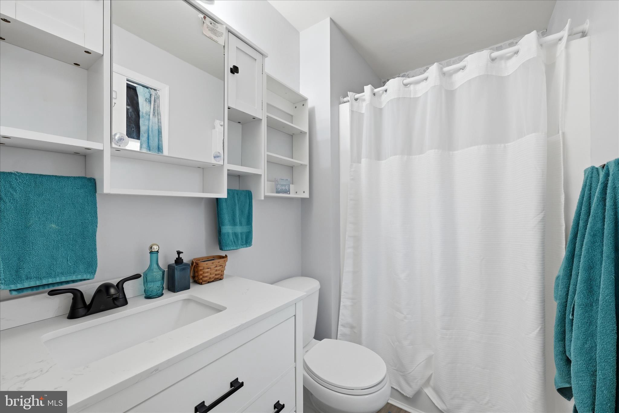 212 Freight Car Circle Inwood, WV 25428 - Photo 18 of 41 a bathroom with a sink a toilet and shower curtain